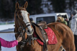 Snow polo St. Moritz: dettagli de giocatori foto credit: gpiazzophotography