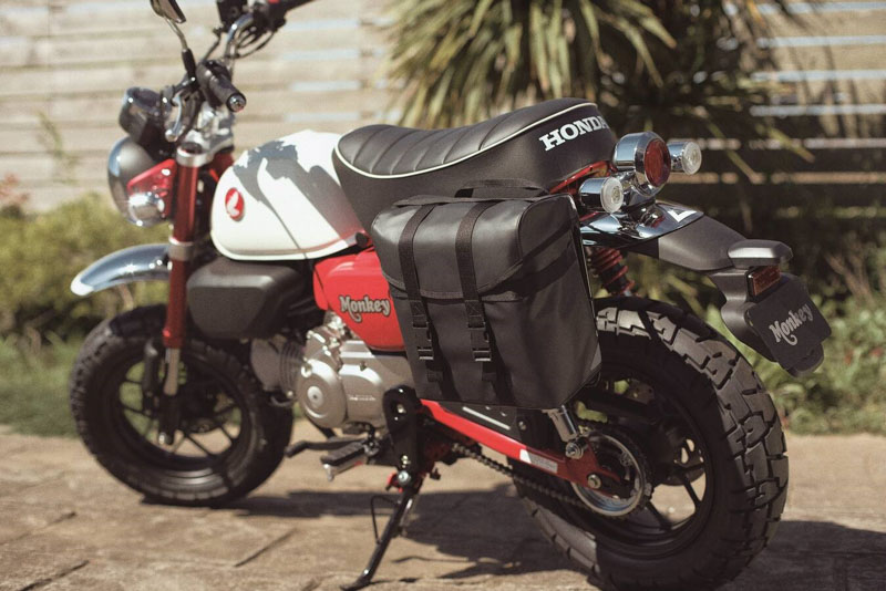 Honda Monkey 125 YM2025