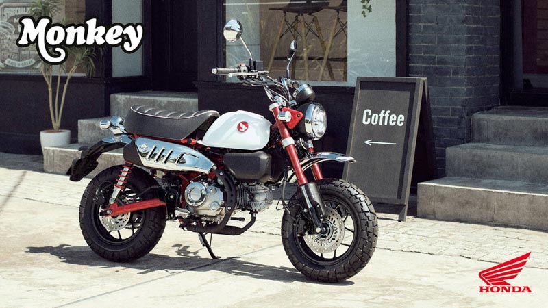 Honda Monkey 125 YM2025