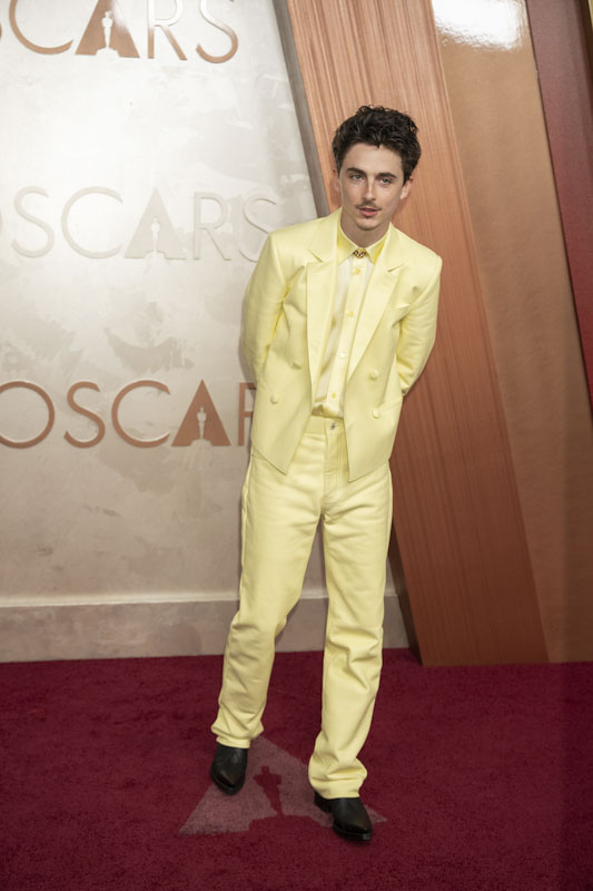 Gli Oscar 2025 I Look Più Belli del Red Carpet